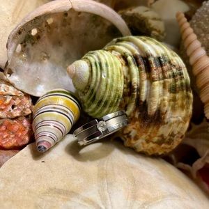 Stainless steel ring with crystal